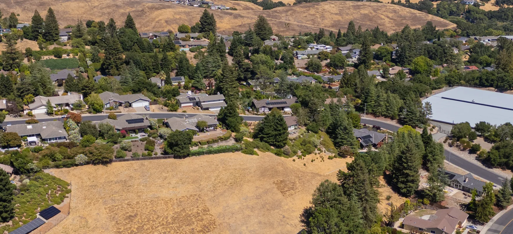 Draeger Dr
