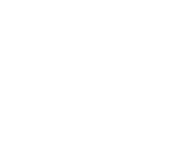 Visionary Devlopment White Logo